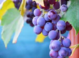 Does Bikimsum Increase Blood Pressure