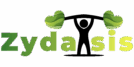 zydaisis.com_logo